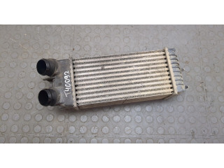 Интеркулер  Peugeot Partner 2002-2008 1.6      