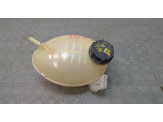 Бачок расширительный Ford EcoSport 2017-2023