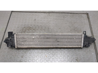 Интеркулер Ford Escape 2019-2022 LX616K775AD