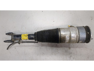 Стойка амортизатора Tesla Model S F4BE5J091W0, 600635104a