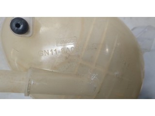 Бачок расширительный Ford EcoSport 2017-