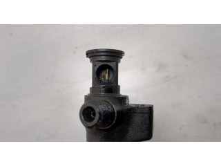 Форсунка топливная  Ford Kuga 2016-2019    2407504     