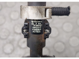 Форсунка топливная  Mercedes C W204 2006-2015    A6460700987, EJBR04201D     