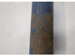 Стойка амортизатора Opel Meriva 2003-2010 24403466, 13225724, 72119125, 93186919