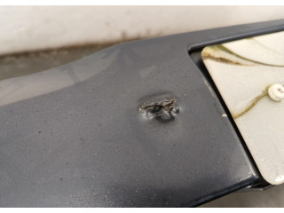 Бампер  Skoda Octavia (A5) 2004-2013 передний   