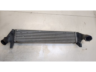 Интеркулер Dacia Logan 2004-2012 8200409045