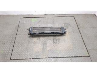 Интеркулер  Nissan Qashqai 2006-2013 1.5      