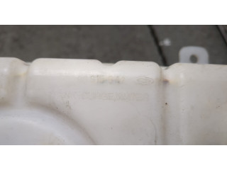 Бачок расширительный  Chevrolet Aveo (T250 / 255) 2008-2011    