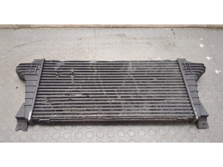 Интеркулер  Jeep Commander 2006-2010   880897V    