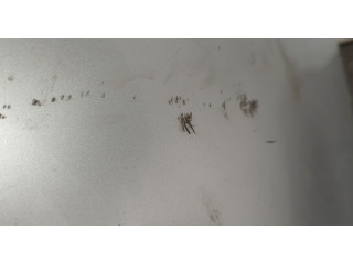 Бампер Volkswagen Golf 6 2009-2012 задний