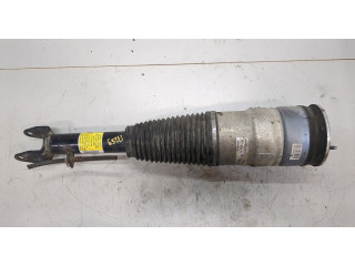 Стойка амортизатора Tesla Model S F4BE5J091W0, 600635104a