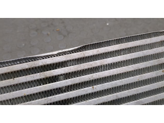 Интеркулер  Ford Escape 2019-2022       