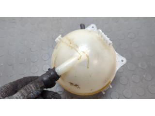 Бачок расширительный  Skoda Rapid 2012-2020    