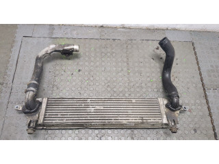 Интеркулер Nissan Qashqai 2006-2013 2.0 14461JD50A