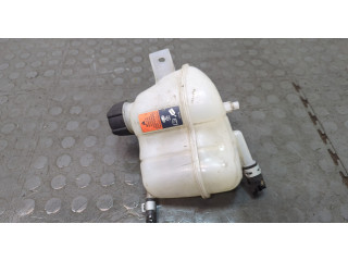 Бачок расширительный  Nissan Qashqai 2013-2022 217114EA0A   