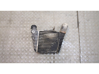 Интеркулер  Skoda Fabia 2007-2010       