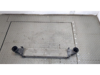 Интеркулер  Mercedes CLS C219 2004-2010   A2115003902    