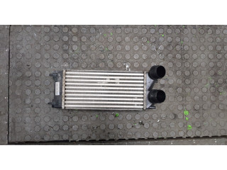 Интеркулер  Peugeot Partner 2008-2012 1.6      