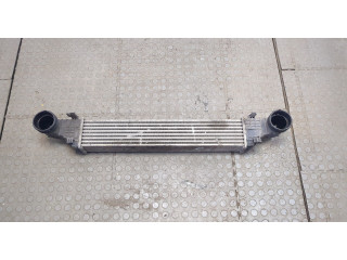 Интеркулер  Mercedes CLS C219 2004-2010       