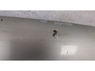 Бампер Jaguar XK 1996-2004 задний