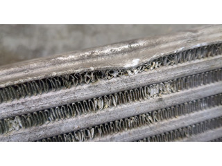 Интеркулер  Renault Trafic 2001-2014   8200411160C    