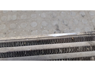 Интеркулер  Mercedes CLS C219 2004-2010       