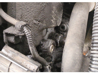 Форсунка топливная Volkswagen Touran 2003-2006 038130073AG