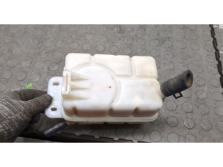 Бачок расширительный  Chevrolet Aveo (T250 / 255) 2008-2011    
