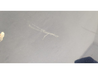 Замок багажника  Audi A6 (C5) 1997-2005       