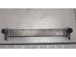 Интеркулер Skoda Fabia 2010-2014