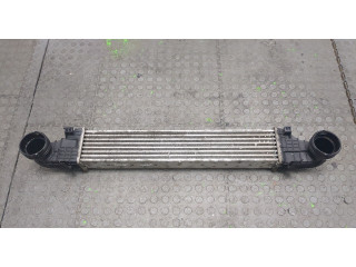 Интеркулер  Mercedes CLS C219 2004-2010 3.0  a2115003902    