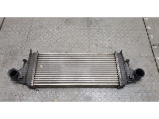 Интеркулер  Mercedes R W251 2005-       