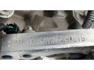 Форсунка топливная Chevrolet Equinox 2017-2021 12662571, 12654644