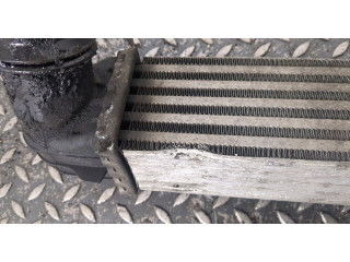 Интеркулер Mini Countryman (R60) 2010-2016 2.0