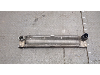 Интеркулер  Mercedes Vito W639 2004-2013       