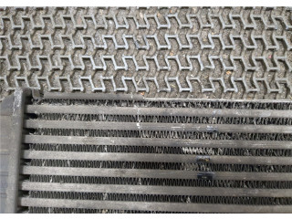 Интеркулер Nissan Primastar 1.9 1449600QAA