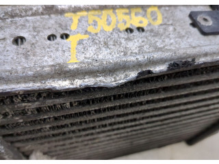 Интеркулер Renault Clio 2009-2012