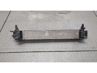 Интеркулер  Chevrolet Trailblazer 2020-2022       