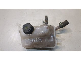 Бачок расширительный  Renault Megane 3 2009-2016 217100005   