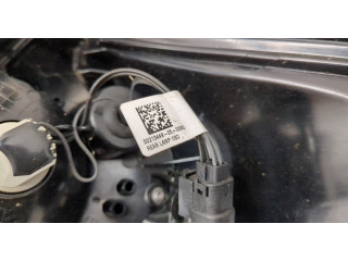 Задний фонарь 2579088, L1TB13405AG