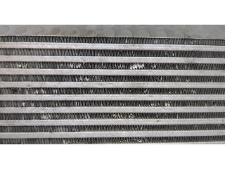 Интеркулер Ford Escape 2019-2022 LX616K775AD