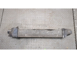 Интеркулер Mercedes CLS C219 2004-2010