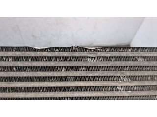 Интеркулер Skoda Rapid