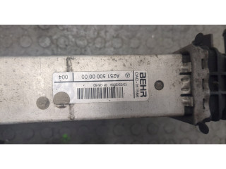 Интеркулер  Mercedes R W251 2005- 3.0      