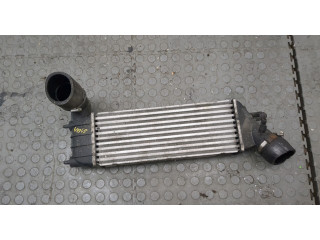 Интеркулер Citroen C8 2002-2008 2.0