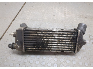 Интеркулер Nissan X-Trail (T31) 2007-2015 2.0 3930084400