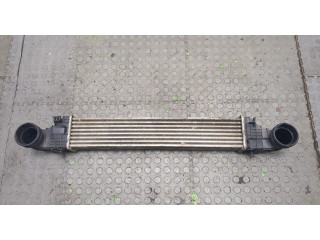 Интеркулер  Mercedes E W211 2002-2009 3.0  2115002602    