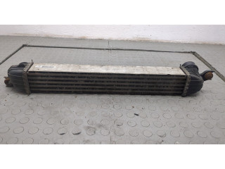 Интеркулер Mini Countryman (R60) 2010-2016