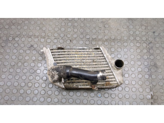 Интеркулер  Audi A8 (D3) 2002-2010       