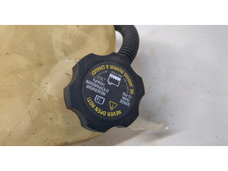 Бачок расширительный  Saturn VUE 2001-2007 10381902   